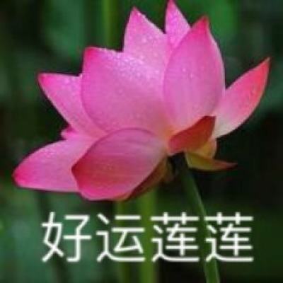 施小琳任四川省政府党组书记